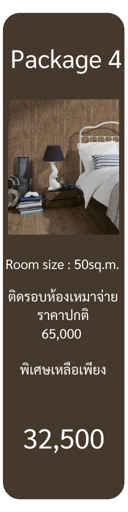 แพ็คเกจ 4
